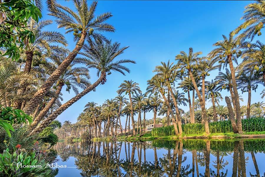 الريف المصري - مصر جميلة